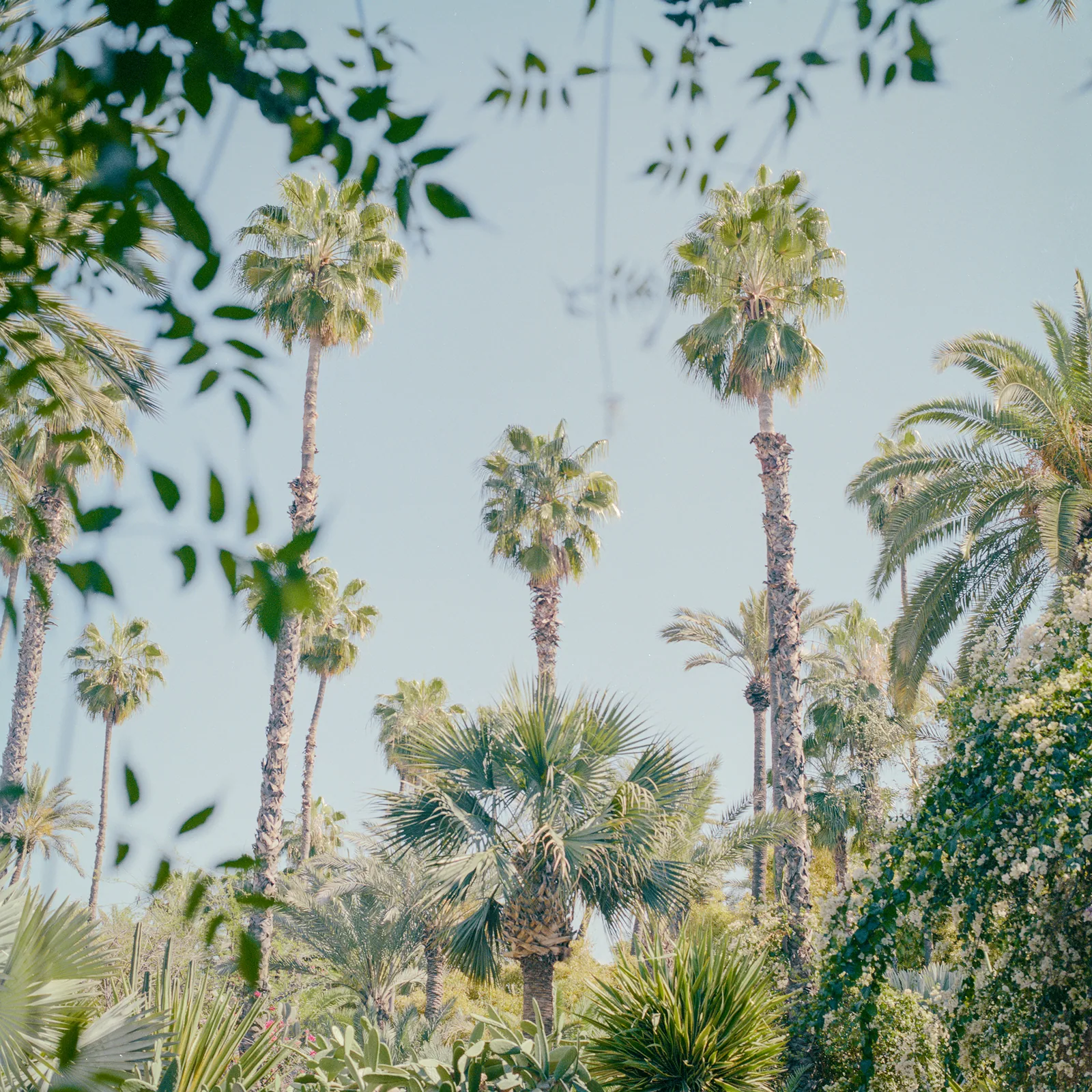 An Introvert Guide to Landscape Engagement, photo 5
