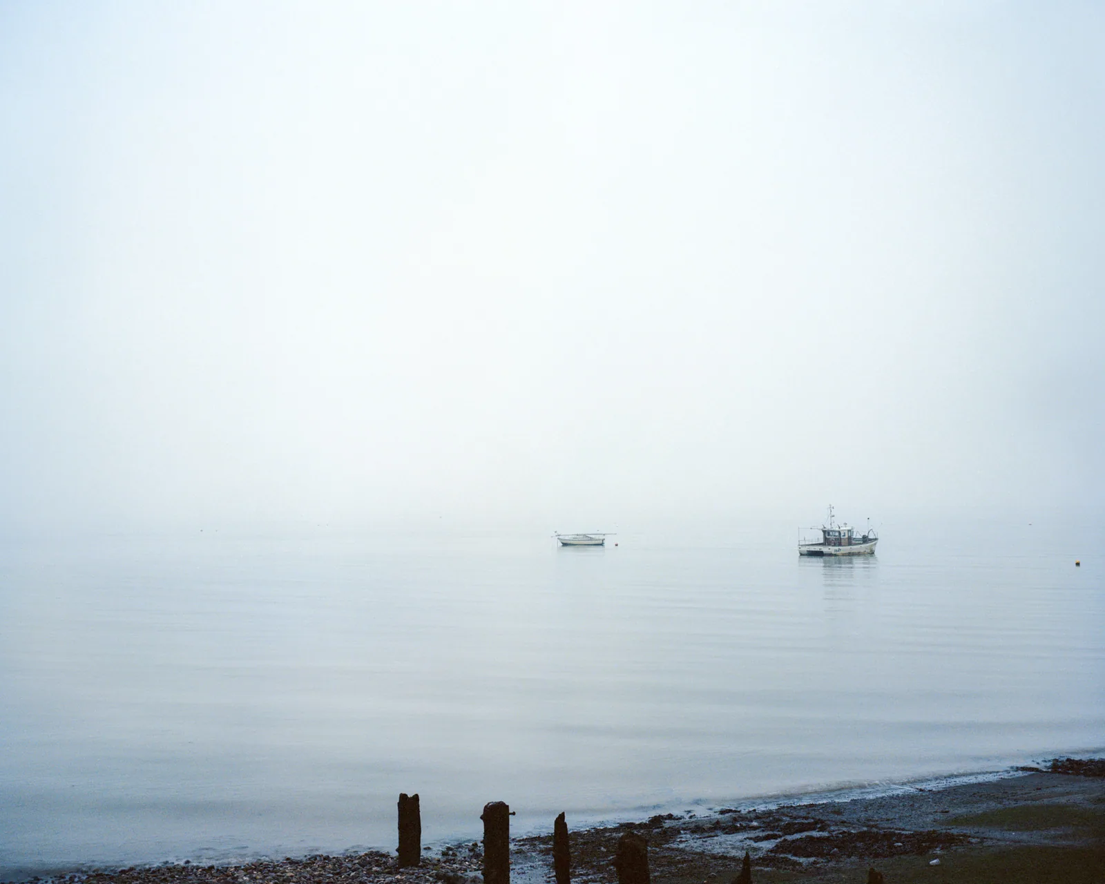 The Mumbles